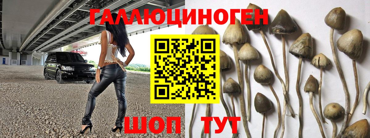 Галлюциногенные грибы GOLDEN TEACHER  Вход с VPN  Ливны 